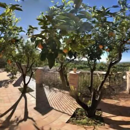Parco Dei Templi אגריג'נטו