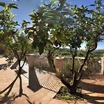 Parco Dei Templi אגריג'נטו