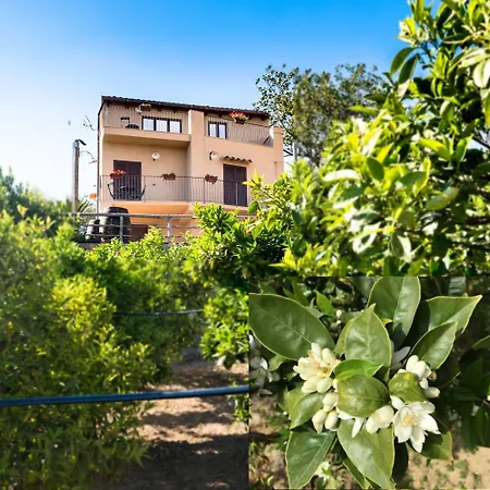 Alojamento de Acomodação e Pequeno-almoço Parco Dei Templi Agrigento