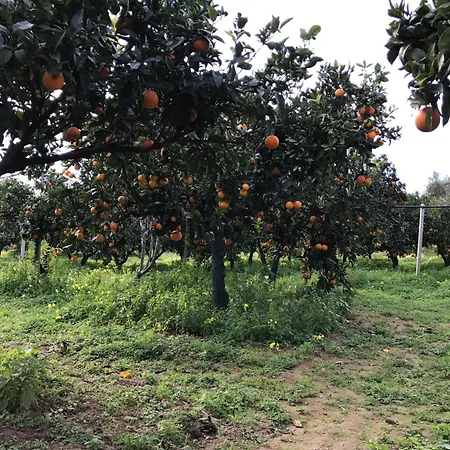 Panzió Parco Dei Templi Agrigento