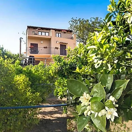Parco Dei Templi Agrigento