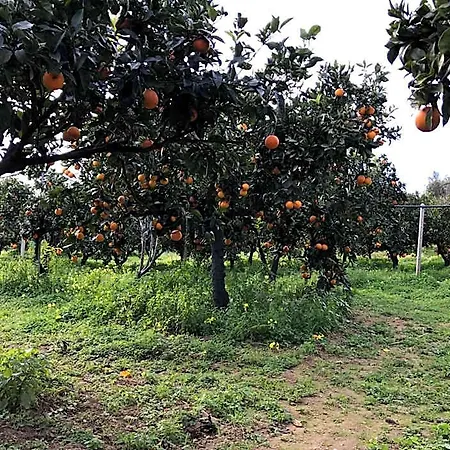 Parco Dei Templi
